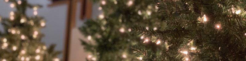 Why Christmas? God’s Plan to Overcome the Tempter